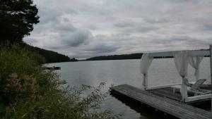 Konferencja wyjazdowa zorganizowana przez PTMP oddział w Gdańsku, 4-5 października 2024r. Gdańsk/Zgorzałe