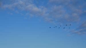 Konferencja wyjazdowa zorganizowana przez PTMP oddział w Gdańsku, 4-5 października 2024r. Gdańsk/Zgorzałe