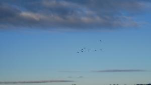 Konferencja wyjazdowa zorganizowana przez PTMP oddział w Gdańsku, 4-5 października 2024r. Gdańsk/Zgorzałe