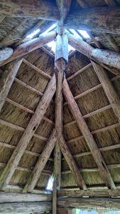 Szkolenie wyjazdowe PTMP Oddział w Gdańsku w dniach 20-21.10.2023 r. w Starogardzie Gdańskim