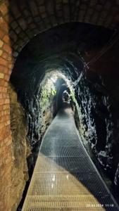 Wyjazdowe szkolenie Polskiego Towarzystwa Medycyny Pracy Oddział w Gdańsku „Praca pod ziemią: bezpieczeństwo i zdrowie” Śląsk, Zabrze 19-21.04.2024 r.