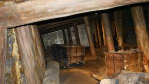 Wyjazdowe szkolenie Polskiego Towarzystwa Medycyny Pracy Oddział w Gdańsku „Praca pod ziemią: bezpieczeństwo i zdrowie” Śląsk, Zabrze 19-21.04.2024 r.