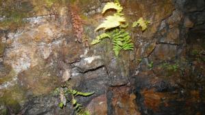 Wyjazdowe szkolenie Polskiego Towarzystwa Medycyny Pracy Oddział w Gdańsku „Praca pod ziemią: bezpieczeństwo i zdrowie” Śląsk, Zabrze 19-21.04.2024 r.