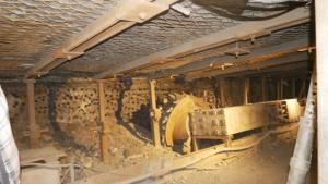 Wyjazdowe szkolenie Polskiego Towarzystwa Medycyny Pracy Oddział w Gdańsku „Praca pod ziemią: bezpieczeństwo i zdrowie” Śląsk, Zabrze 19-21.04.2024 r.