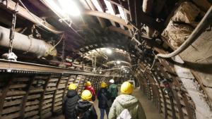 Wyjazdowe szkolenie Polskiego Towarzystwa Medycyny Pracy Oddział w Gdańsku „Praca pod ziemią: bezpieczeństwo i zdrowie” Śląsk, Zabrze 19-21.04.2024 r.