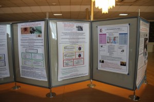 Podlaskie Dni Medycyny Pracy, Augustów 2013 r.