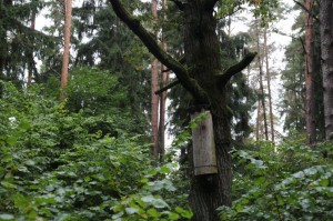 Podlaskie Dni Medycyny Pracy, Augustów 2013 r.