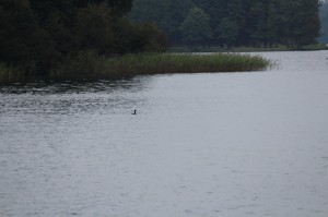 Podlaskie Dni Medycyny Pracy, Augustów 2013 r.