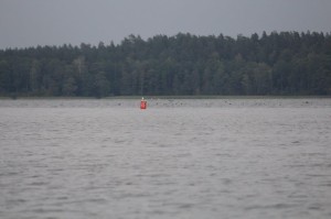 Podlaskie Dni Medycyny Pracy, Augustów 2013 r.