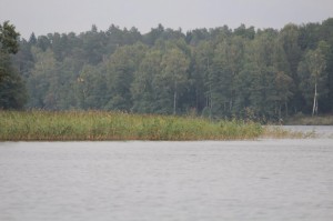 Podlaskie Dni Medycyny Pracy, Augustów 2013 r.