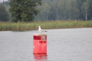 Podlaskie Dni Medycyny Pracy, Augustów 2013 r.