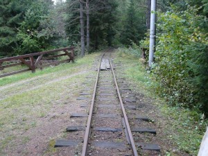 Podlaskie Dni Medycyny Pracy, Augustów 2013 r.