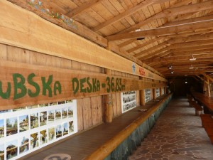 VI Krajowa Konferencja Pielęgniarek Medycyny Pracy 2016 r.