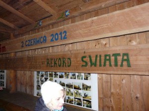 VI Krajowa Konferencja Pielęgniarek Medycyny Pracy 2016 r.