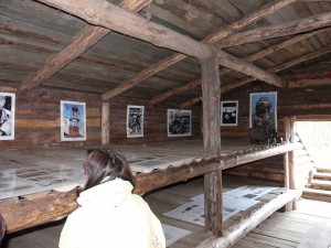 VI Krajowa Konferencja Pielęgniarek Medycyny Pracy 2016 r.