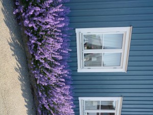 Konferencja „Ochrona zdrowia pracujących w Europie”, Gdynia-Karlskrona, 01-03.06.2016r.