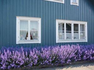 Konferencja „Ochrona zdrowia pracujących w Europie”, Gdynia-Karlskrona, 01-03.06.2016r.