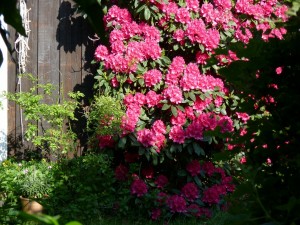 Konferencja „Ochrona zdrowia pracujących w Europie”, Gdynia-Karlskrona, 01-03.06.2016r.