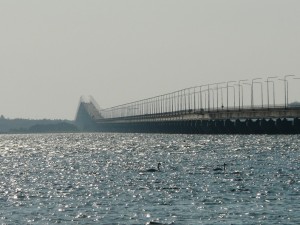 Konferencja „Ochrona zdrowia pracujących w Europie”, Gdynia-Karlskrona, 01-03.06.2016r.