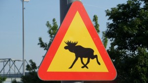 Konferencja „Ochrona zdrowia pracujących w Europie”, Gdynia-Karlskrona, 01-03.06.2016r.