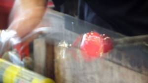 Konferencja „Ochrona zdrowia pracujących w Europie”, Gdynia-Karlskrona, 01-03.06.2016r.