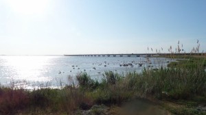 Konferencja „Ochrona zdrowia pracujących w Europie”, Gdynia-Karlskrona, 01-03.06.2016r.