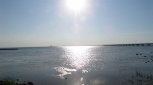 Konferencja „Ochrona zdrowia pracujących w Europie”, Gdynia-Karlskrona, 01-03.06.2016r.