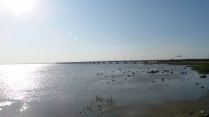 Konferencja „Ochrona zdrowia pracujących w Europie”, Gdynia-Karlskrona, 01-03.06.2016r.